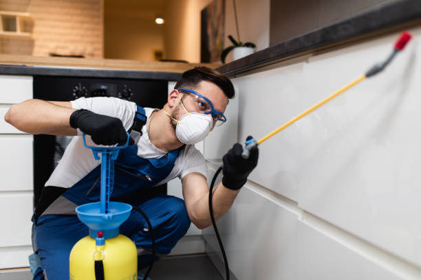 Best Pest Inspection Near Me  in Lovington, IL