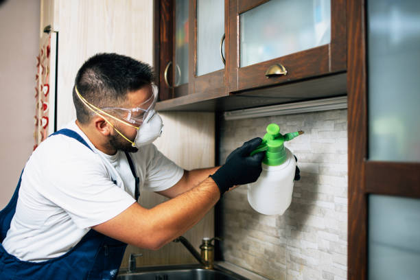 Best Cockroach Control Services  in Lovington, IL