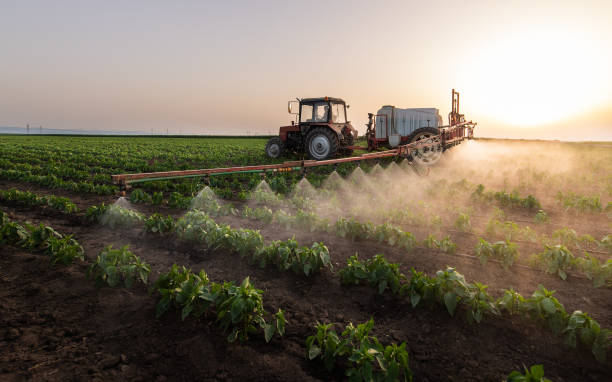 Best Affordable Pest Control Services  in Lovington, IL