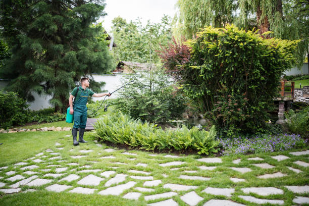 Professional Pest Control in Lovington, IL