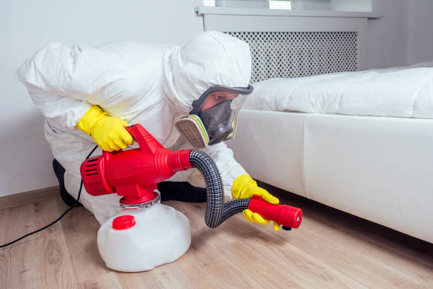 Best Ant Control Services  in Lovington, IL