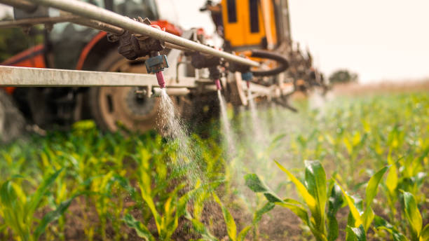 Insect Control in Lovington, IL