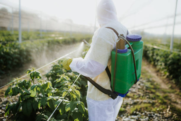 Best Termite Control Services  in Lovington, IL